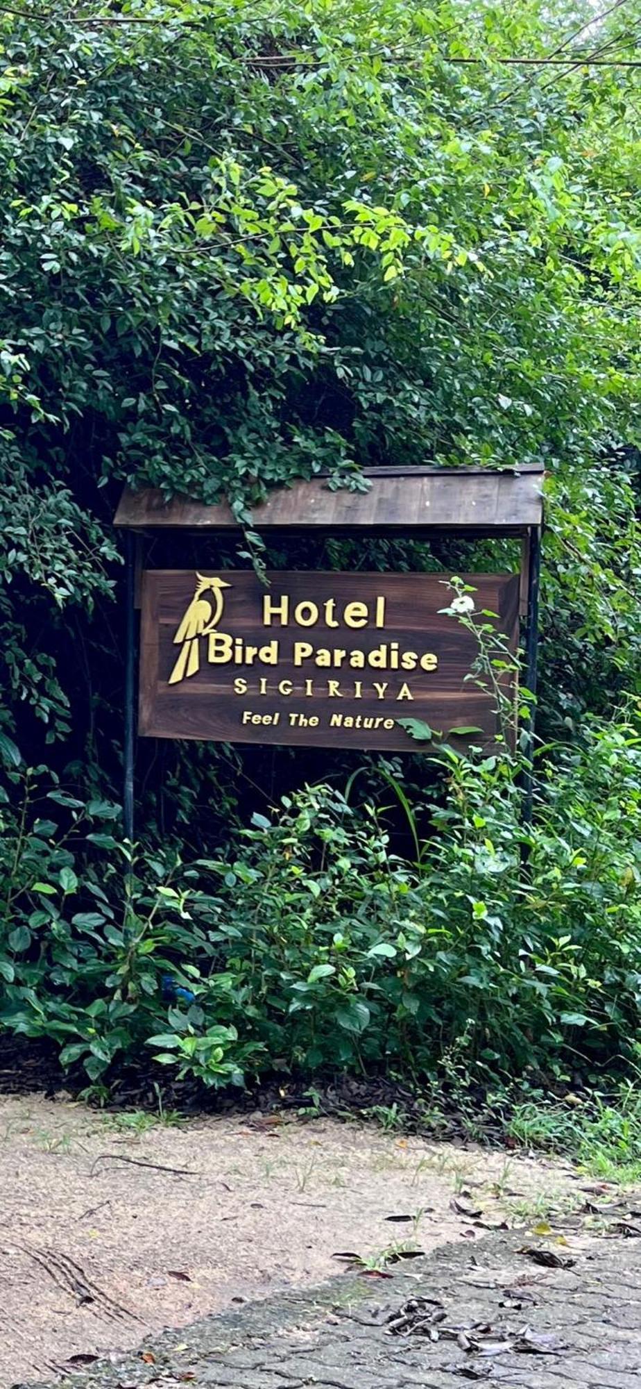 Hotel Bird Paradise Sigirija Zewnętrze zdjęcie