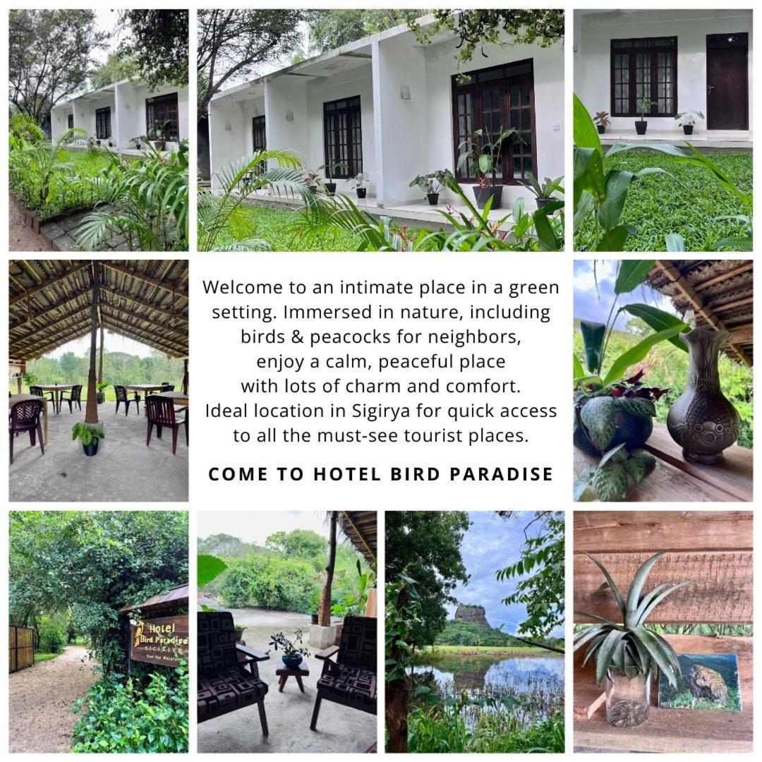 Hotel Bird Paradise Sigirija Zewnętrze zdjęcie